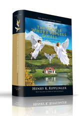 The House Where Angels Dwell, 3D view